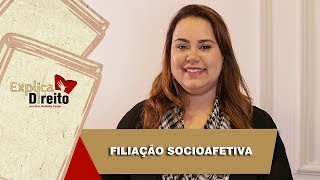 Explica Direito Filiação Socioafetiva  2019 [upl. by Gunter]