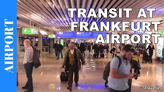 TRANSIT WALK AT FRANKFURT Airport FRA Terminal 1  Connection Flight Transfer Arriving amp Departing [upl. by Eelik]